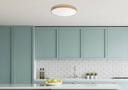LED Ceiling light Figaro