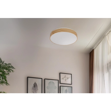 LED Ceiling light Figaro