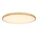 LED Ceiling light Tens
