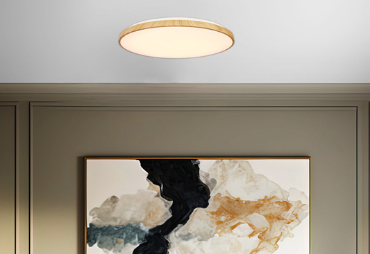 LED Ceiling light Tens