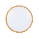 LED Ceiling light Cadix