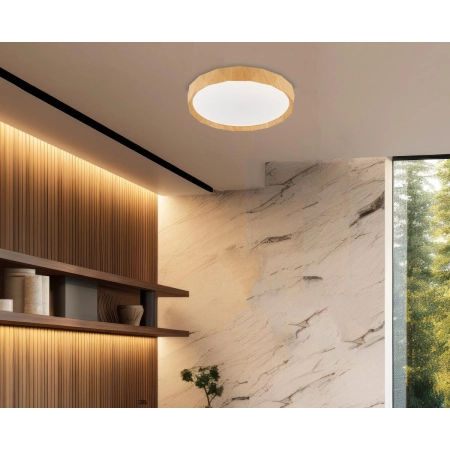 LED Ceiling light Cadix