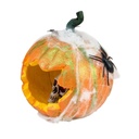Pumpkin in spider web - 25 x 25 cm
