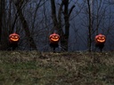 Pumpkins with stake - 3x - 39 cm