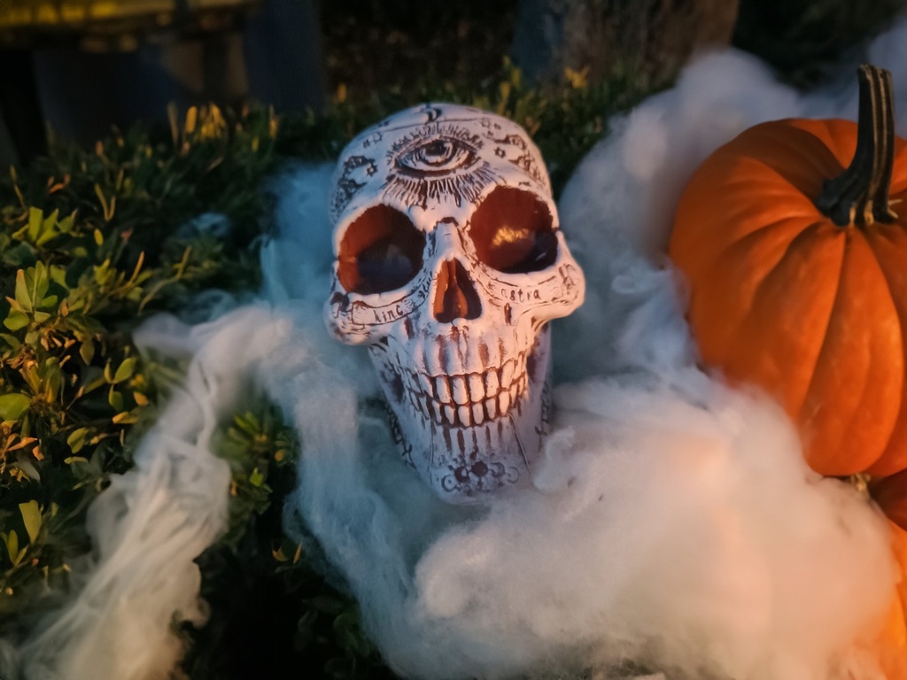 Skull - mystical - 12 x 10 x 18 cm