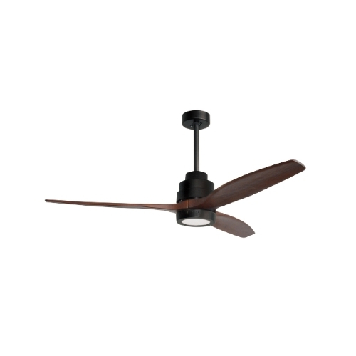 Fan Sabal