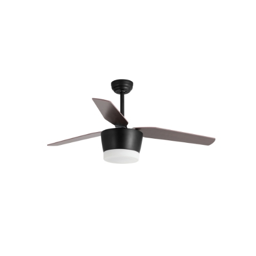 Ventilator Monsoon