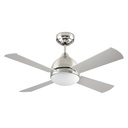 Fan Borneo