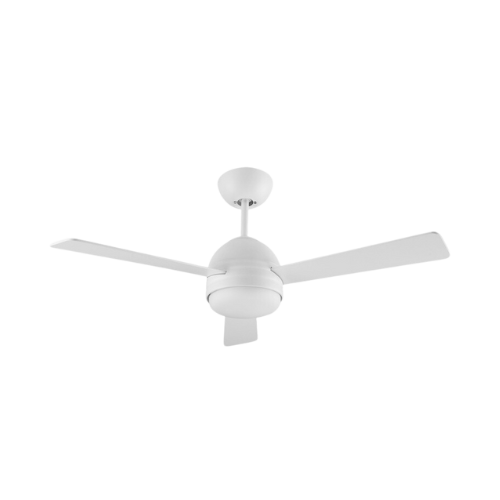 Fan Kai