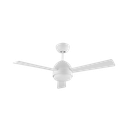 Fan Kai