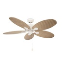 Fan Phuket