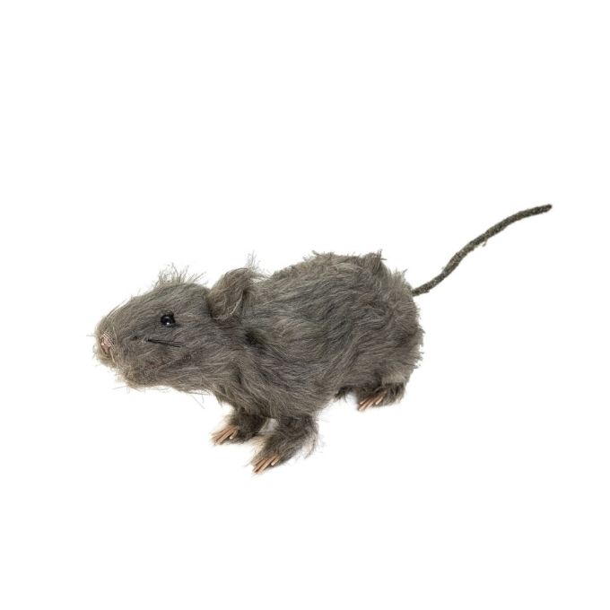 Rat - 23 x 9 x 14 cm