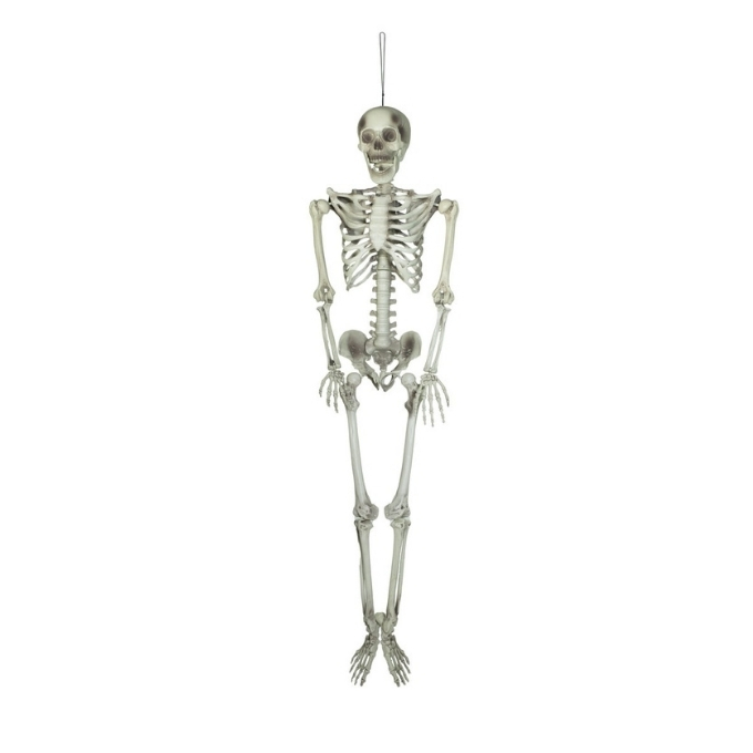 Okostnjak - 150 cm