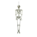 Skeleton - 150 cm