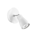Spotlight Cono