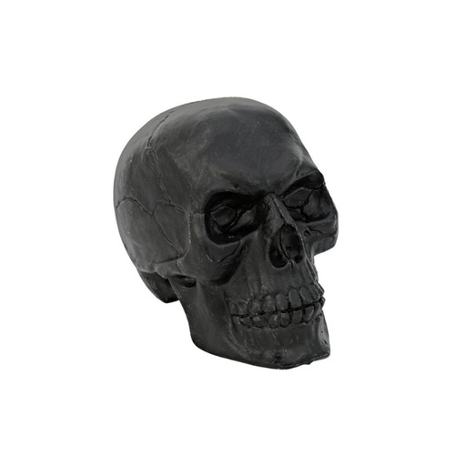 Skull - 16 cm