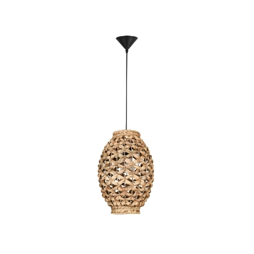 Pendant light Griffin